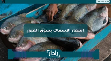 أسعار الأسماك بسوق العبور